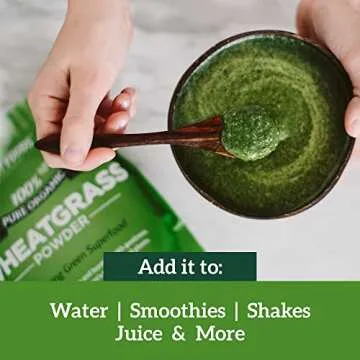 Sari Foods Organic Wheatgrass Powder - Wheat Grass Juice Powder with Chlorophyll, Antioxidants & Vitamins (15 Ounce)