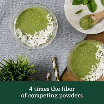 Sari Foods Organic Wheatgrass Powder - Wheat Grass Juice Powder with Chlorophyll, Antioxidants & Vitamins (15 Ounce)