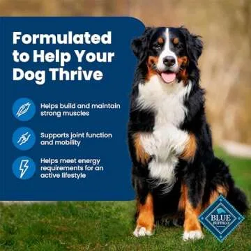 Premium Blue Buffalo Dog Food for Healthy Weight and Muscles