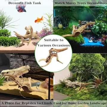 Tfwadmx Natural Driftwood for Aquarium, 11-13 inch Reptile Branches Terrarium Wood Aquarium Trunk Driftwood Tree Fish Tank Log Decoration Pack of 2
