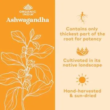 ORGANIC INDIA Ashwagandha Powder Organic - Ashwagandha Root Powder Bulk, Herbal Supplement - Vegan, Gluten-Free, Kosher, Non-GMO, Supports Stress Relief, Energy, and Sleep - 1lb Bag