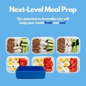 Chillybox Cooler Lunch Box for Fresh Meals Anytime