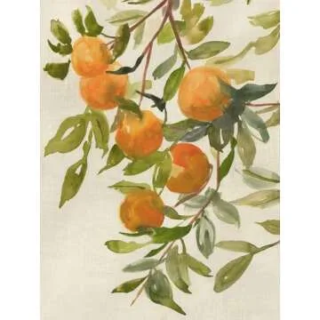 Branch of Oranges I 24x32 UnFramed Art Print by Jacob Q