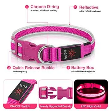 Dlitk LED Dog Collar - Rechargeable Safety Collar for Medium Dogs