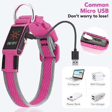 Dlitk LED Dog Collar - Rechargeable Safety Collar for Medium Dogs