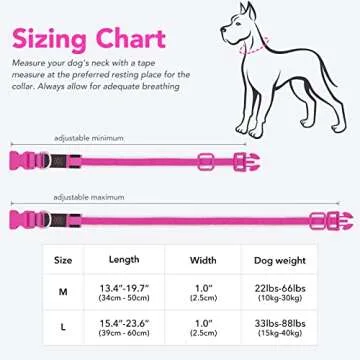 Dlitk LED Dog Collar - Rechargeable Safety Collar for Medium Dogs