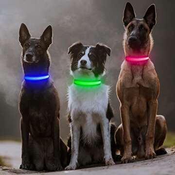 Dlitk LED Dog Collar - Rechargeable Safety Collar for Medium Dogs