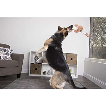 goDog Checkers Skinny Rooster Squeaky Plush Dog Toy, Chew Guard Technology - Brown, Large