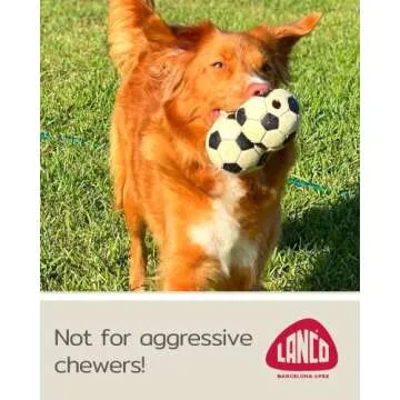 Medium Soccer Ball - Soft, Squeaky Dog Toy - Natural Rubber (Latex) - 3.25" Diameter- for Medium Breed Dogs & Senior Dogs - Durable - Free from Harmful Chemicals