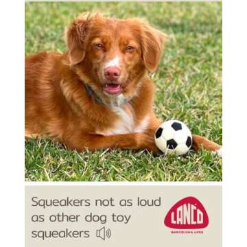 Medium Soccer Ball - Soft, Squeaky Dog Toy - Natural Rubber (Latex) - 3.25" Diameter- for Medium Breed Dogs & Senior Dogs - Durable - Free from Harmful Chemicals