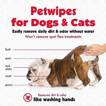 Petkin Pet Wipes for Dogs and Cats, 200 Large Wipes - Removes Dirt & Odor Like Washing Hands - Cleans Ears, Face, Butt, Eye Area - Convenient, Ideal for Home or Travel - 2 Packs of 100 Wipes