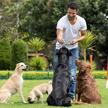 112 Cavity Mini Star Silicone Molds Fun Shaped Chocolate Molds for Homemade Dog Training Treats, Gummies, Candy, Chocolate Chips,Biscuits