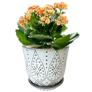 Gepege 6 Inch Beaded Ceramic Planter Set of 2 with Drainage Hole and Saucer for Plants, Indoor-Outdoor Large Round Succulent Orchid Flower Pot (Smoked Gray, Inner-pots not Larger Than 5 Inch)
