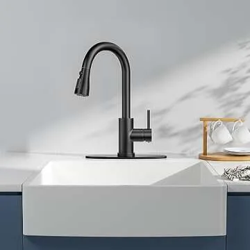 BASDEHEN Single Handle High Arc Matte Black Pull Out Kitchen Faucet, Single Level Stainless Steel Kitchen Sink Faucet with Pull Down Sprayer and 10 Inch Deck (Matte Black)