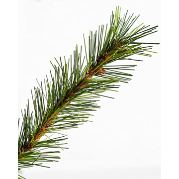 Balsam Hill 7ft Norwegian Grand Fir Christmas Tree