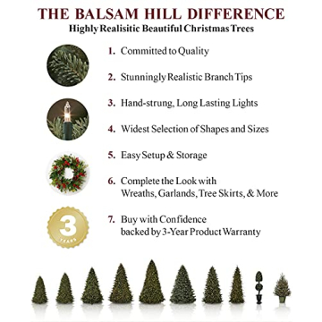 Balsam Hill 7ft Norwegian Grand Fir Christmas Tree