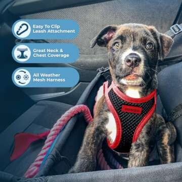 Voyager Step-In Air Dog Harness for Small Pets