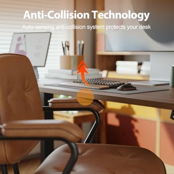 Agilestic Electric Standing Desk for Home Office