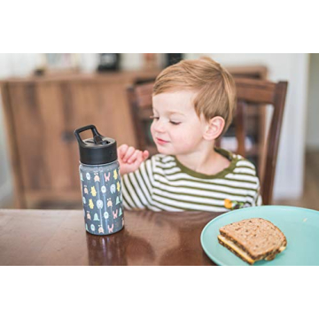 Simple Modern Kids Water Bottle with Straw Lid | Insulated Stainless Steel Reusable Tumbler for Toddlers, Girls, Boys | Summit Collection | 14oz, Polka Play