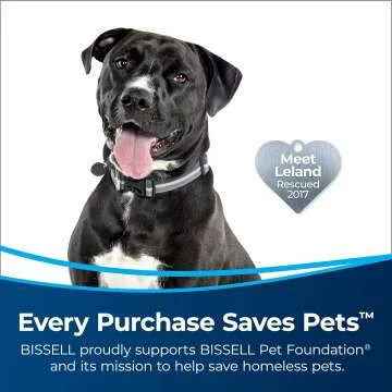 BISSELL 2998 Lift-Off Pet Vacuum with HEPA Filter