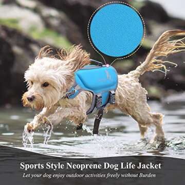 VIVAGLORY Dog Life Jacket for Safe Water Adventures