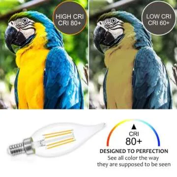Sailstar Dimmable Candelabra LED Bulbs for Elegant Lighting