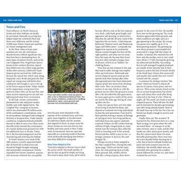 National Wildlife Federation Field Guide to Trees of North America