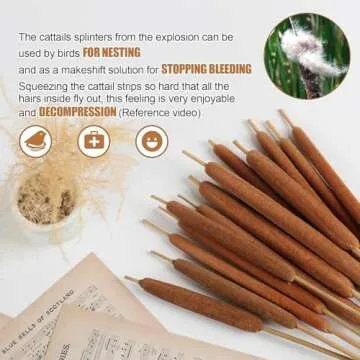 MIHUAGE Dried Natural Cattails - 20PCS for DIY Floral Arrangements and Home Office Decor - 17 Inch Length