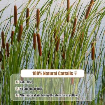 MIHUAGE Dried Natural Cattails - 20PCS for DIY Floral Arrangements and Home Office Decor - 17 Inch Length