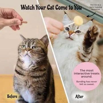 MalsiPree Lollipop Freeze Dried Cat Treats - High Protein