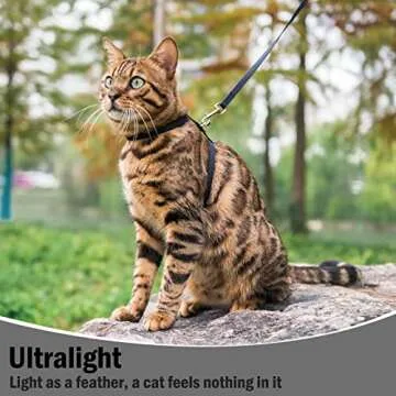 PUPTECK Adjustable Cat Harness and Leash Set Escape Proof Kitten Strap Collar for Walking Travel, Black