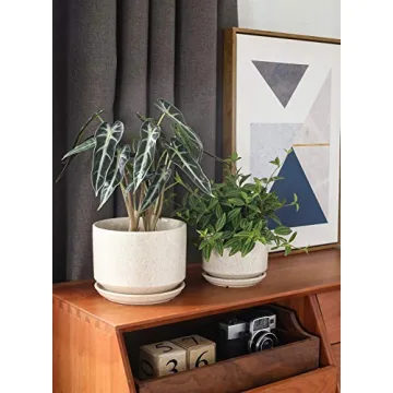 LE TAUCI Ceramic Plant Pots Set with Drainage - Unique Design