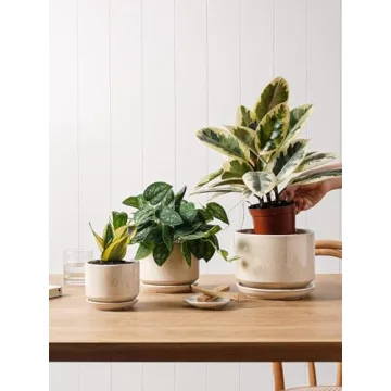 LE TAUCI Ceramic Plant Pots Set with Drainage - Unique Design
