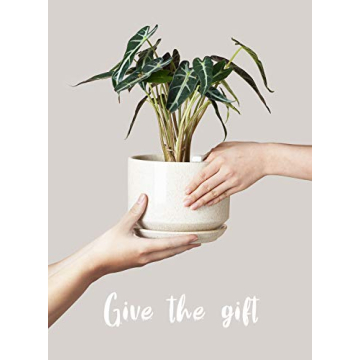 LE TAUCI Ceramic Plant Pots Set with Drainage - Unique Design