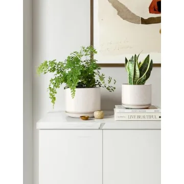 LE TAUCI Ceramic Plant Pots Set with Drainage - Unique Design