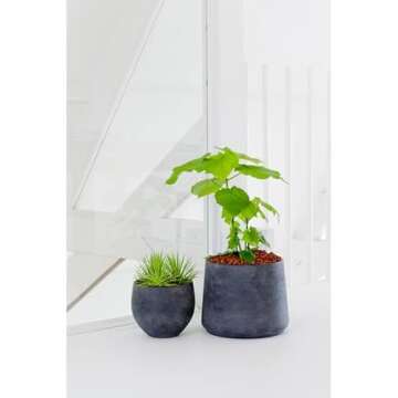 Petite Black Planter 6" H x 7" - Black Washed Fiberstone Indoor and Outdoor Flower Pot - by Pottery Pots