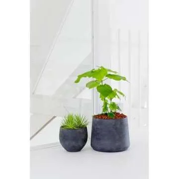 Petite Black Planter 6" H x 7" - Black Washed Fiberstone Indoor and Outdoor Flower Pot - by Pottery Pots