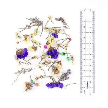 NICOLE DIARY Dried Flower Nail Art for Crafts and Decor