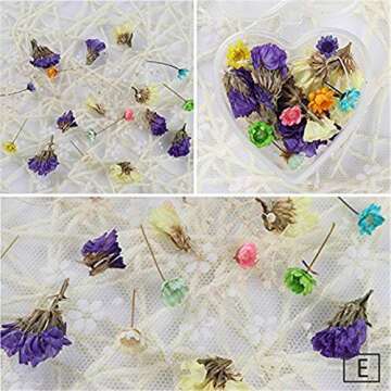 NICOLE DIARY 4 Boxes Dry Flower Nail Art DIY Preserved Flower Decorations Real Dry Flowers With Heart-Shaped Box for Resin Craft DIY Nail Decoration Nail Tips Manicure