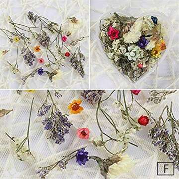 NICOLE DIARY 4 Boxes Dry Flower Nail Art DIY Preserved Flower Decorations Real Dry Flowers With Heart-Shaped Box for Resin Craft DIY Nail Decoration Nail Tips Manicure