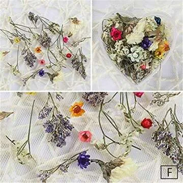NICOLE DIARY Dried Flower Nail Art for Crafts and Decor