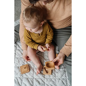 Montessori Shape Puzzle for Baby - First Wooden Puzzle