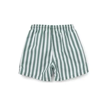LDIOIF Boys Quick Dry Swim Trunks Green Striped 5-6Y