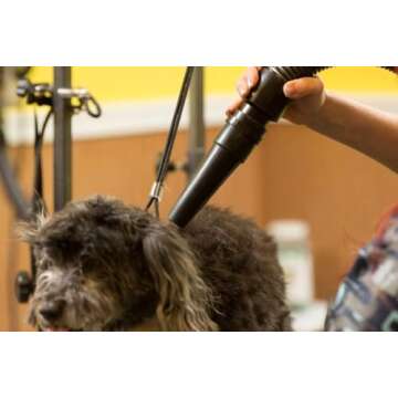 MetroVac Air Force Master Blaster Pet Grooming Dryer