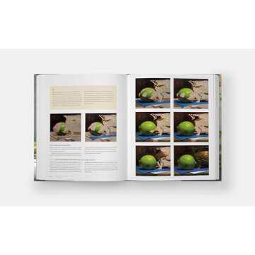 The Art of Still Life: A Contemporary Guide to Classical Techniques, Composition, and Painting in Oil