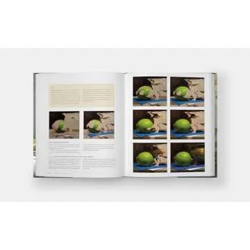 The Art of Still Life: A Contemporary Guide to Classical Techniques, Composition, and Painting in Oil