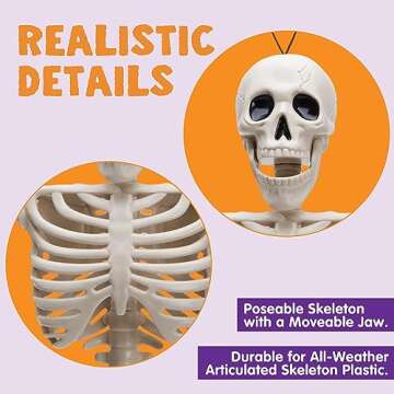 JOYIN 2 PCS 16 Inches Halloween Skeletons Full Body Posable Joints Skeletons for Halloween Graveyard...