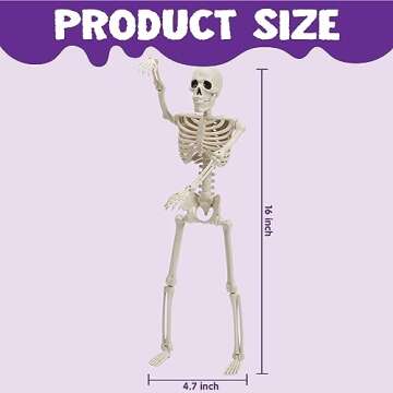 JOYIN 2 PCS 16 Inches Halloween Skeletons Full Body Posable Joints Skeletons for Halloween Graveyard Decorations, Haunted House Accessories
