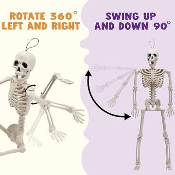 JOYIN 2 PCS 16 Inches Halloween Skeletons Full Body Posable Joints Skeletons for Halloween Graveyard Decorations, Haunted House Accessories