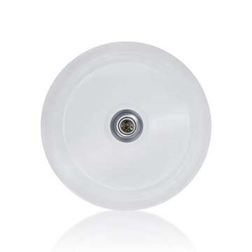 Stylish 17in Gooseneck Barn Light Fixture for Outdoors